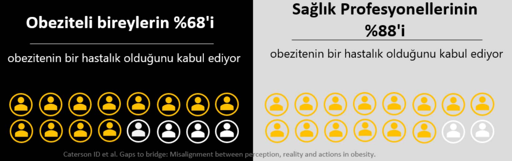 Obezite Salgını, kilo vermek, diyet, ideal kilo